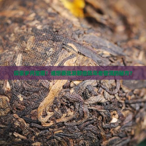 资深熟普洱茶批发