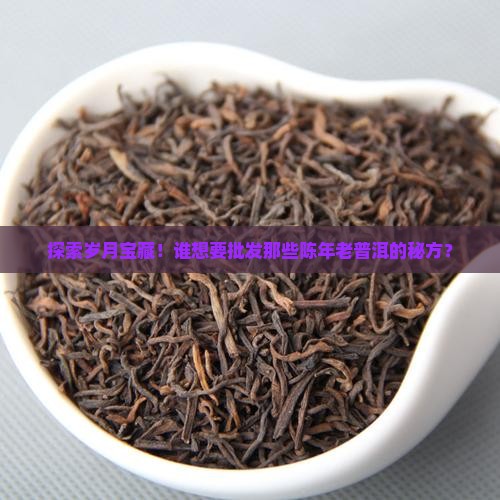 资深熟普洱茶批发