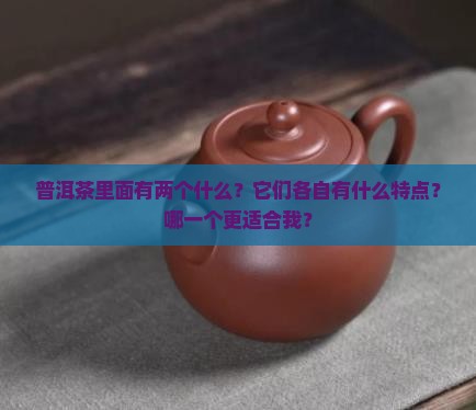 普洱茶里面有两个哪个是好的