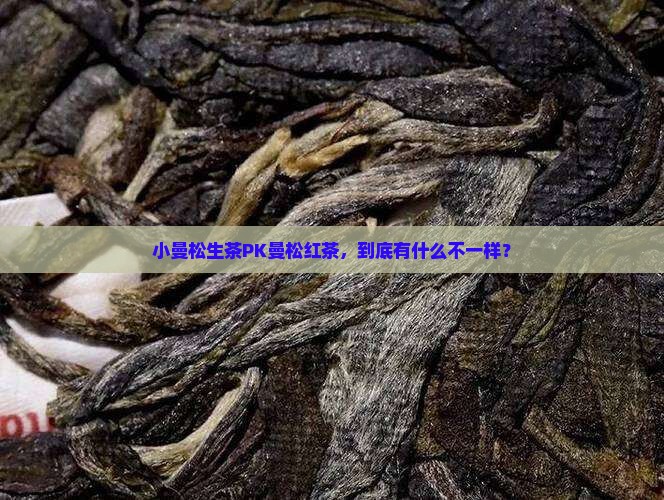 小曼松生茶与曼松红茶区别