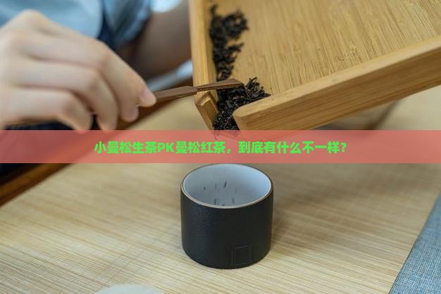 小曼松生茶与曼松红茶区别