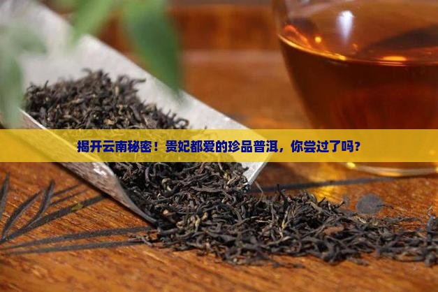 云南贵妃珍品普洱茶