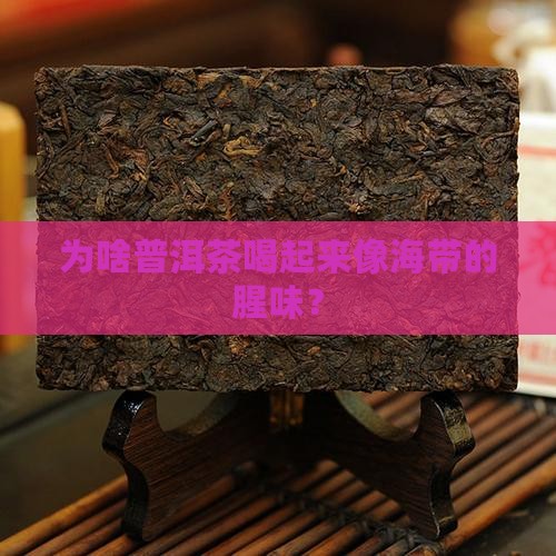 普洱茶为什么有海带腥味