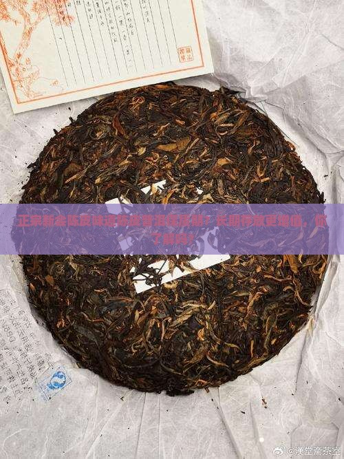 正宗新会陈皮味道陈皮普洱保质期