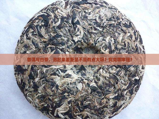 白茶和普洱茶泡法区别大吗