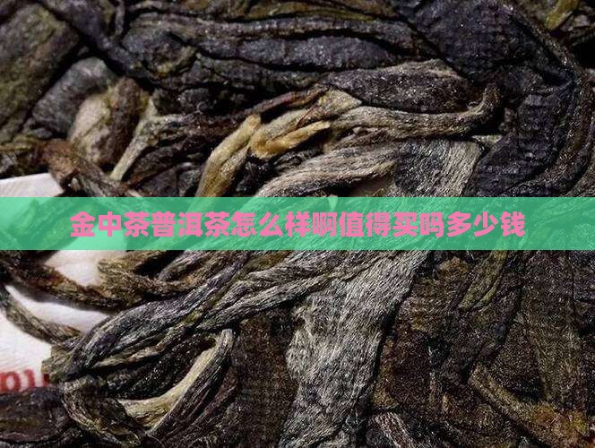 金中茶普洱茶怎么样啊值得买吗