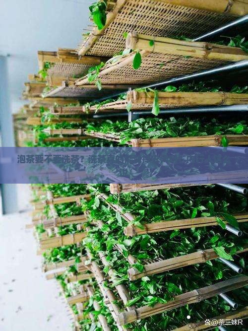 泡茶要不要洗茶过程