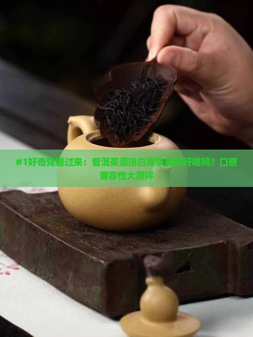 普洱茶和白蒿茶能一起泡吗