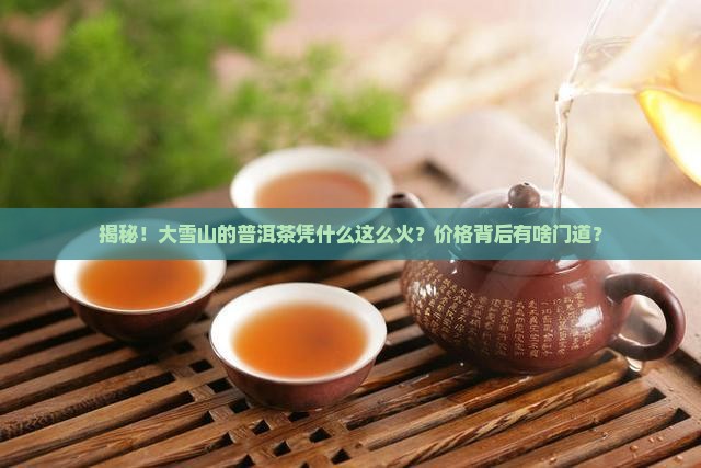 云南普洱茶大雪山价格
