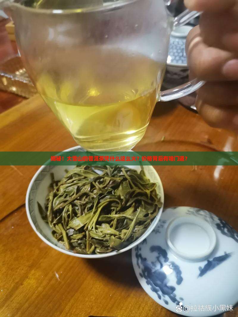 云南普洱茶大雪山价格