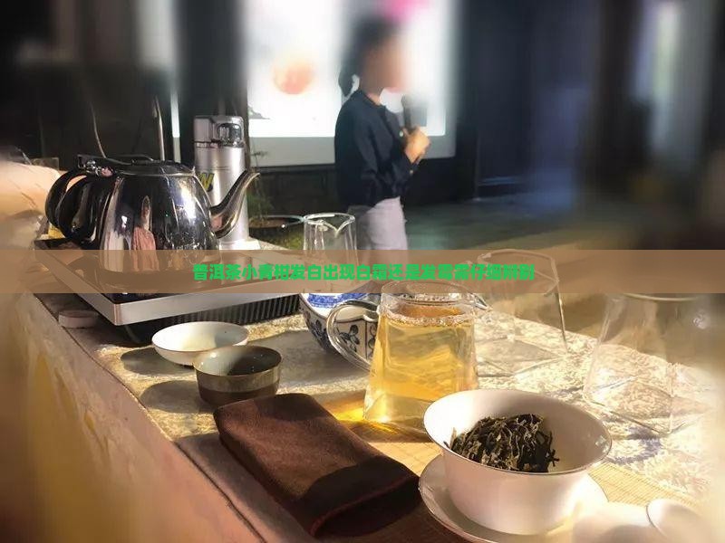 普洱茶小青柑发白