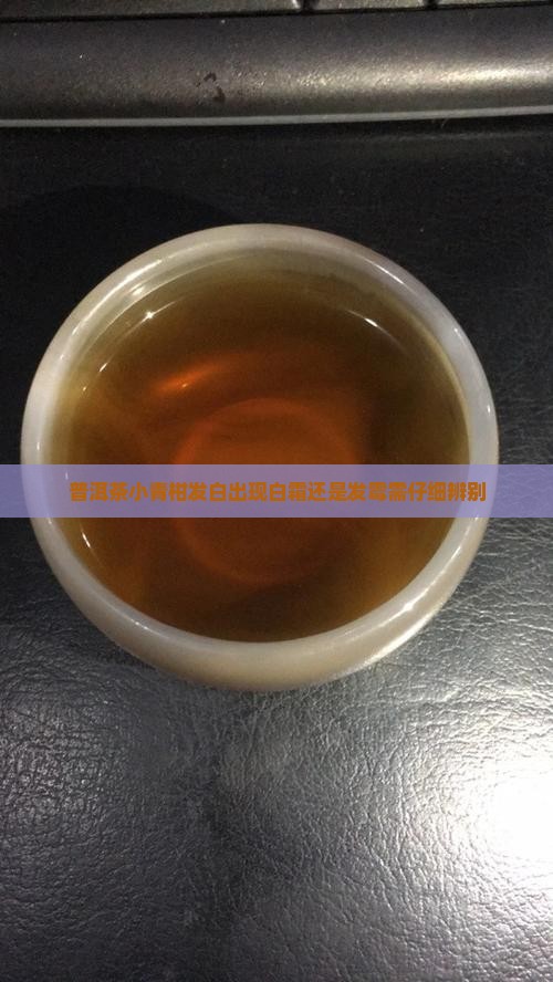 普洱茶小青柑发白