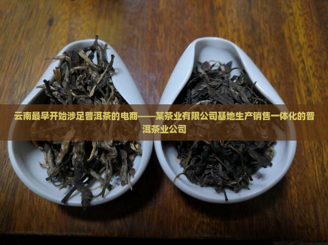 云南最开始卖普洱茶的电商