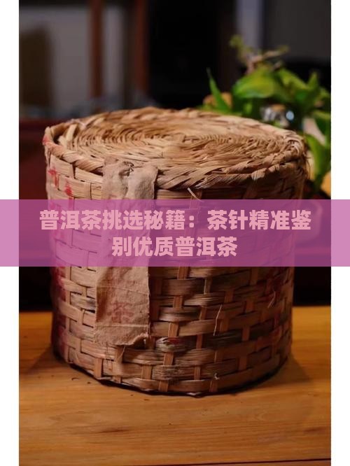 茶针怎样挑普洱茶