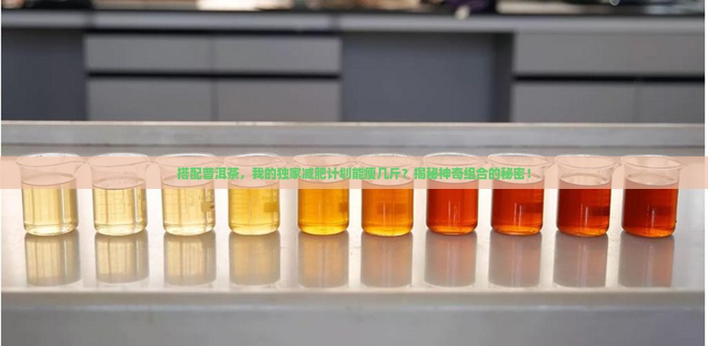 普洱茶和什么减肥计划一起喝