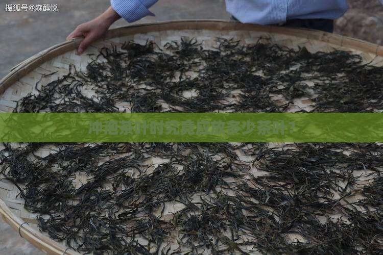 泡一次茶放多少茶叶
