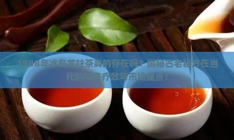 1988年冰岛龙拄茶