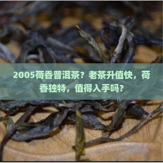 2005荷香普洱茶