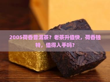 2005荷香普洱茶