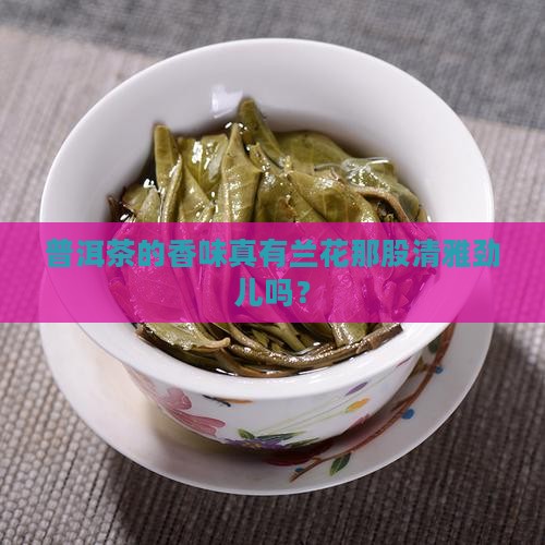 普洱茶像兰花香味吗
