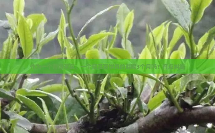 一个普洱茶饼喝多久