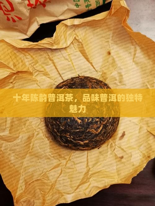 十年的生普洱茶