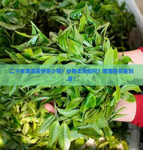 二十年普洱茶饼价格表