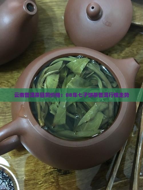 08年普洱茶七子饼目前价格