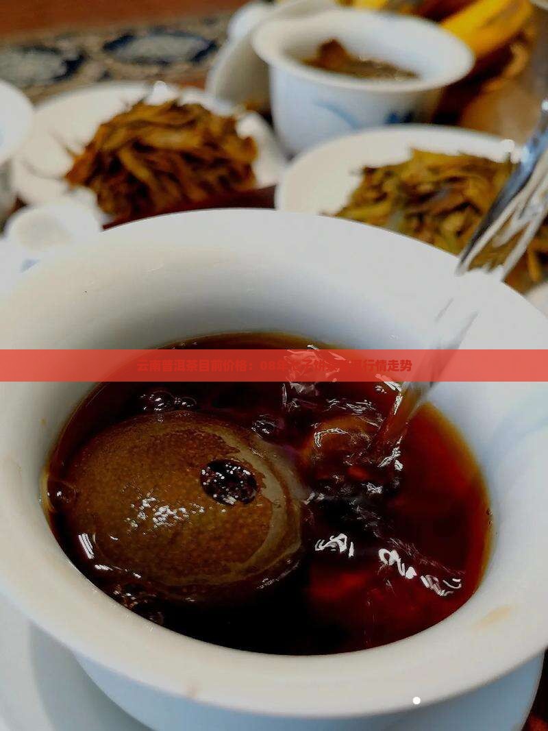 08年普洱茶七子饼目前价格