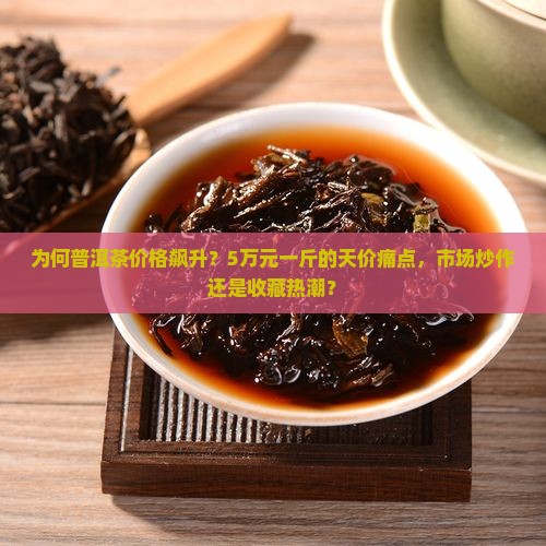 普洱茶5万元一斤