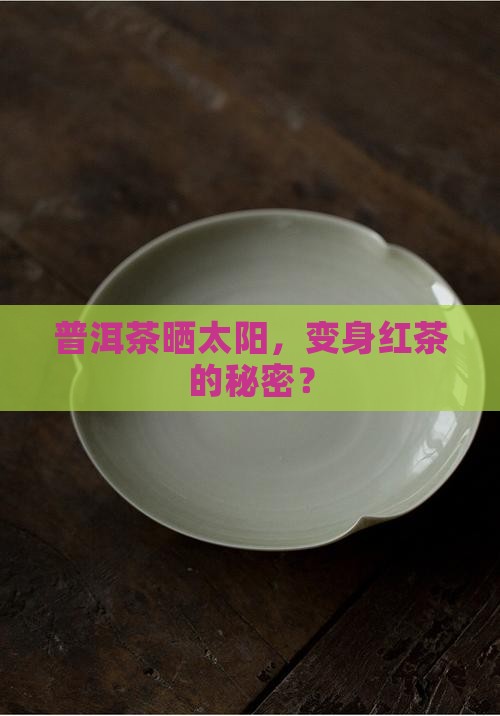 普洱茶可以晒太阳吗普洱晒红茶