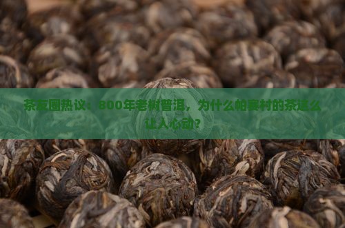 古树普洱茶帕赛