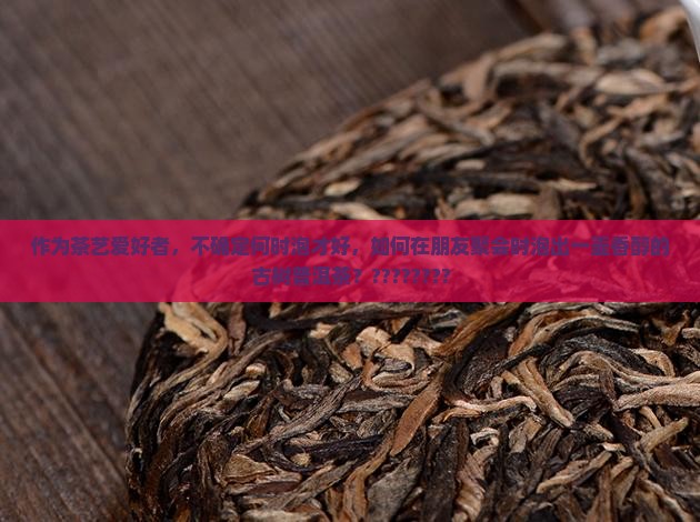 一壶古树普洱茶怎么泡