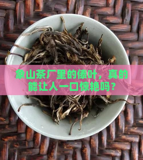 象山茶厂傣叶怎么样