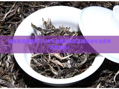 器度普洱茶可以煮