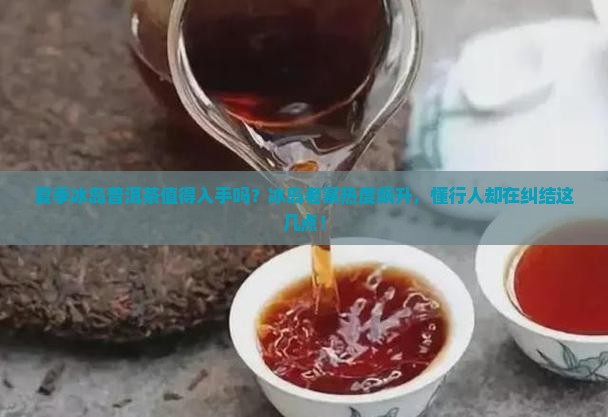 夏季冰岛普洱茶