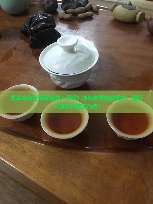 夏季冰岛普洱茶
