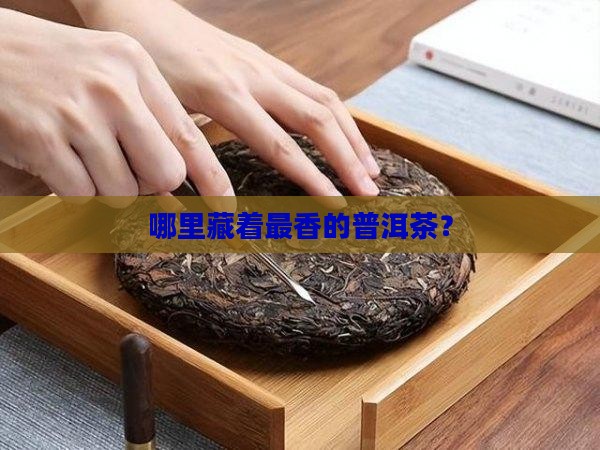 优质普洱茶的产地 优质普洱茶的产地