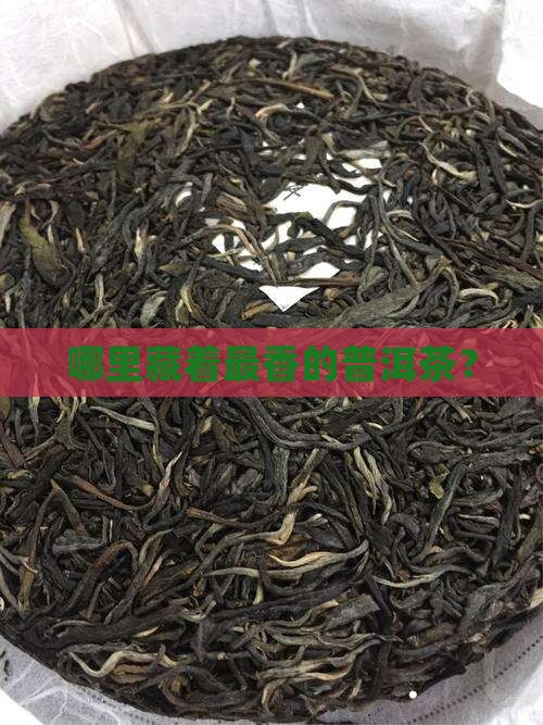 优质普洱茶的产地 优质普洱茶的产地