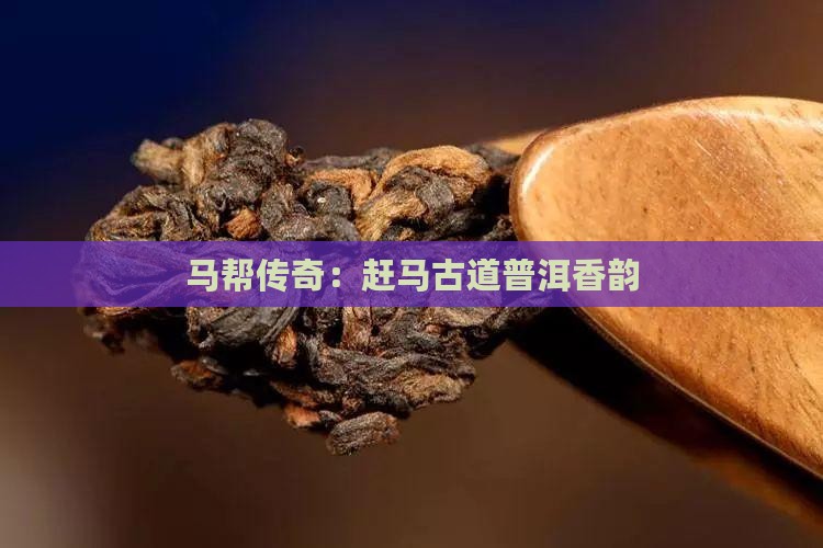 赶马帮一味普洱茶 赶马帮一味普洱茶