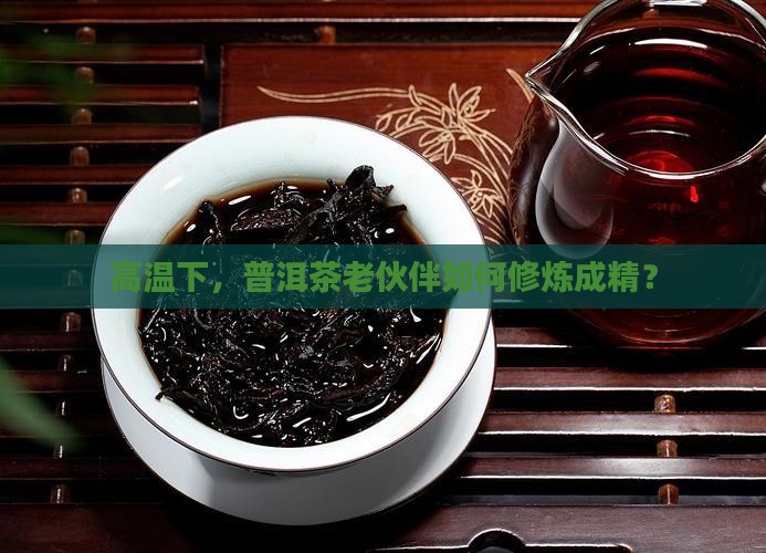 普洱茶久放在高温环境