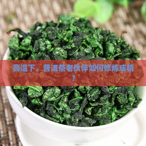 普洱茶久放在高温环境