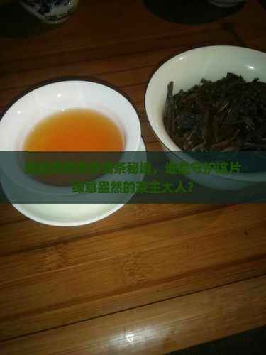 薄荷塘普洱茶主