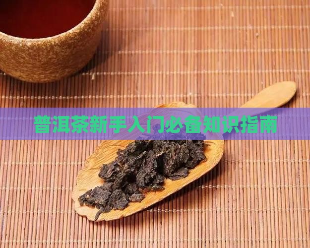普洱茶新手入门知识
