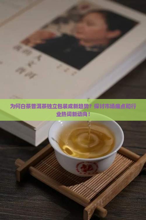 白茶普洱茶独立包装