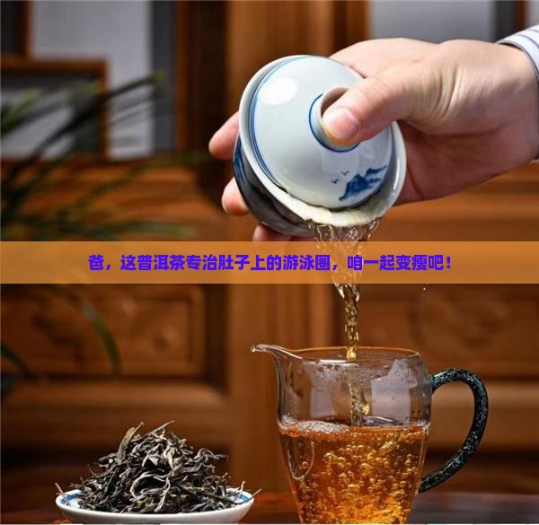 送爸爸普洱茶减肥