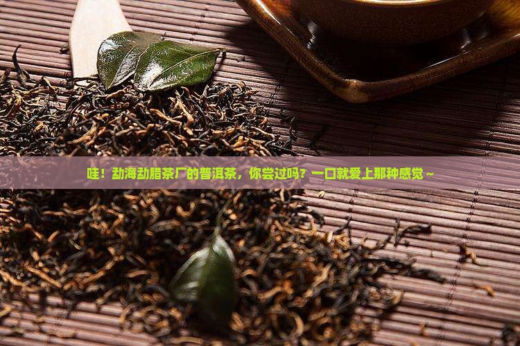 勐海勐腊茶厂普洱茶