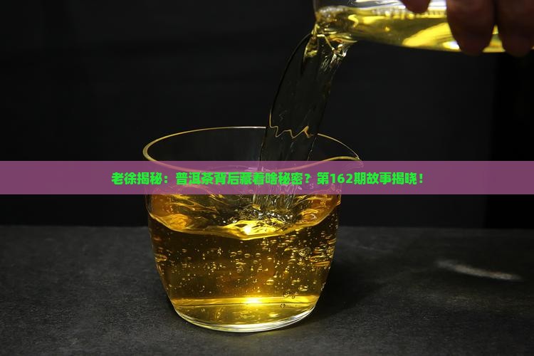 老徐说普洱茶162