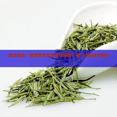 老徐说普洱茶162
