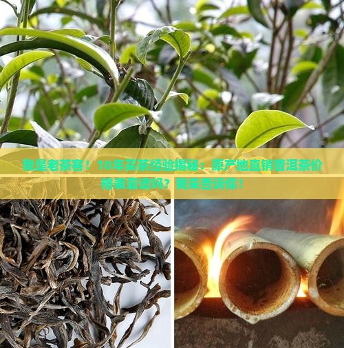 原产地直销普洱茶价格表 原产地直销普洱茶价格表